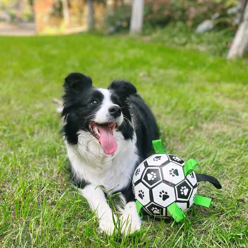 FruffyBall™