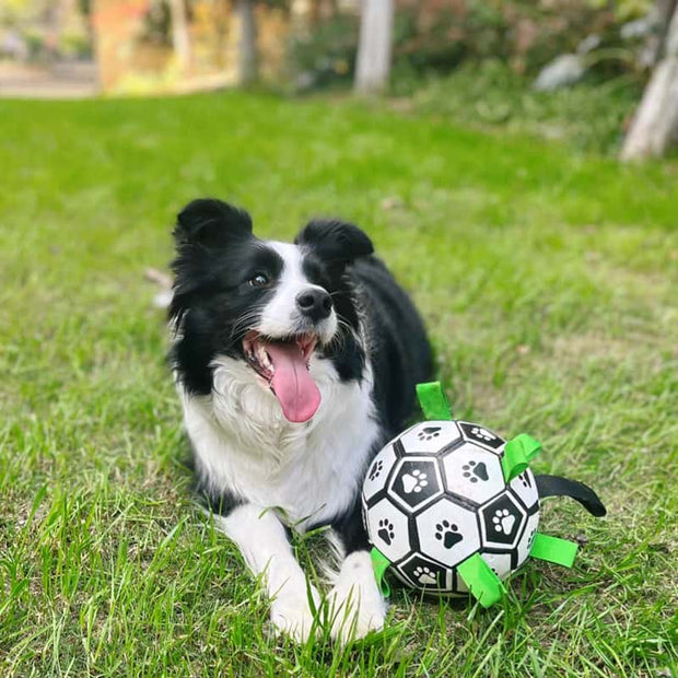 FruffyBall™