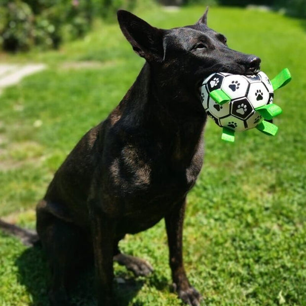 FruffyBall™